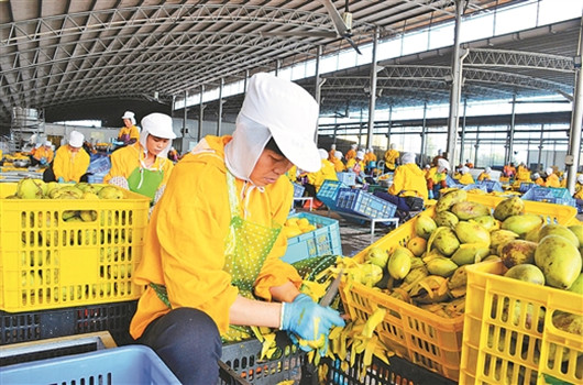 果香园食品等四家农业龙头企业落户北京 - 资讯